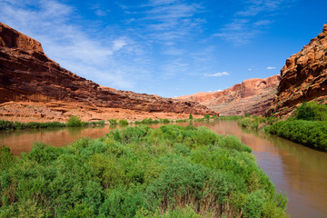 Colorado River in Utah