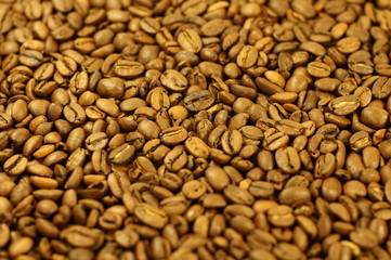 Fototapeta premium Kaffeebohne