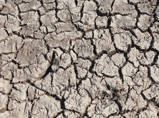 dry and crack soil