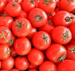 red tomatoes in a box