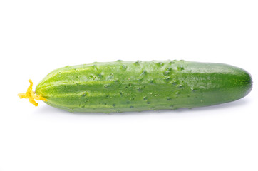 cucumber