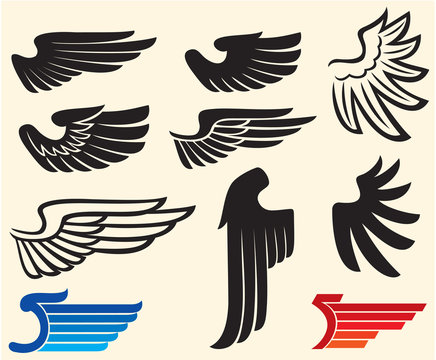 wings collection