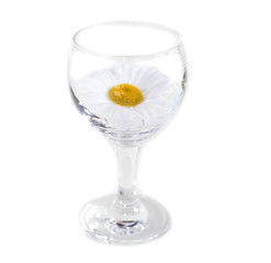 verre de vin marguerite