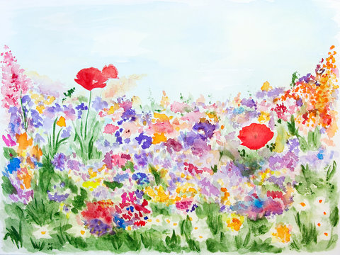 Summer flowers in the garden watercolor hand-painted