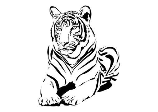 big wild cat