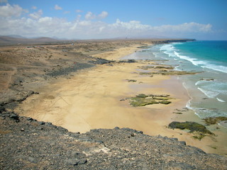 el cotillo