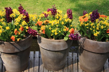 Tres macetas con flores de colores