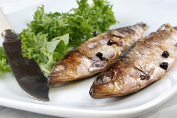 frisch gegrillte Sardinen als Speise zubereitet