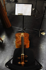 contrebasse