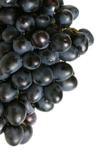 Bunch of grapes