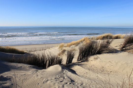 dunes &agrave; Quend Plage