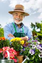 Senior man with the pots of flowers in his garden