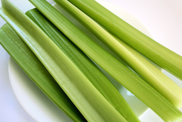 Fresh Crisp Celery
