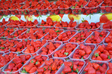 fraises en barquette fruits de saison au marché - fond fraises