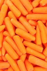 Carrot