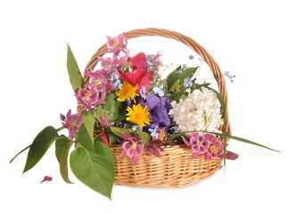 Flowers lie in a basket