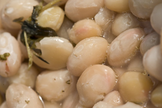 flageolets ou haricots blancs