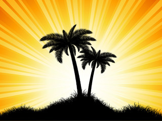 Palm trees on sunburst background