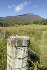 Fototapeta na wymiar Stare ogrodzenie i pastwiska, drutem kolczastym, Tasmania