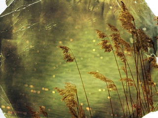 Vintage paper textures old photo postcard. Reed against the back