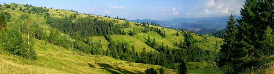 Fototapeta na wymiar Panoramic view of summer Carpathian mountains, Ukraine