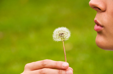 Dandelion and Mouth