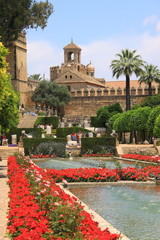 Fototapeta premium Cordoba