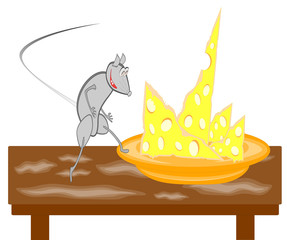 Rat on a table and a plate with cheese