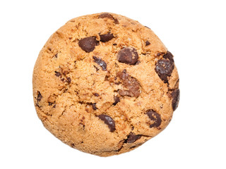 chocolate chip cookie isolated on white background