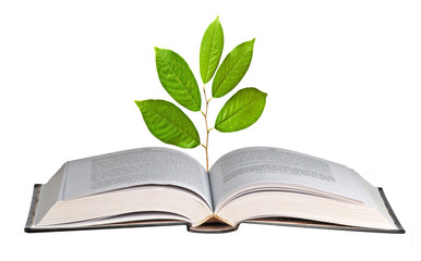 sapling growing from open book