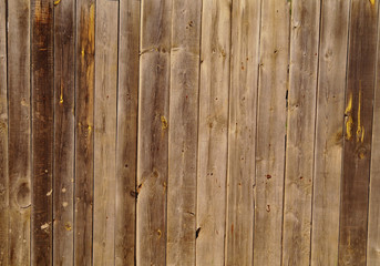 wood texture plank