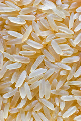 rice grains texture