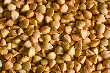 buckwheat grains texture