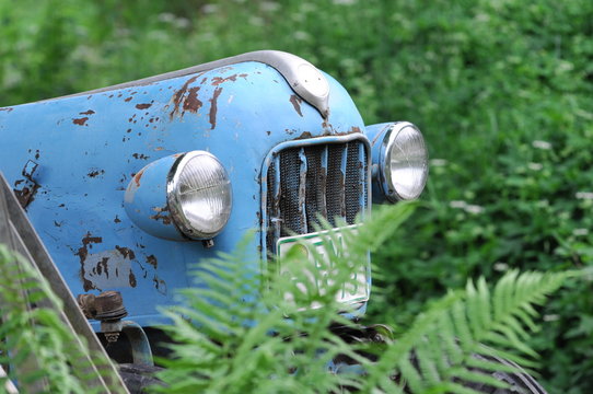 Nostalgic tractor in a meadow.