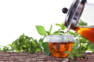 Tea and freh herbs