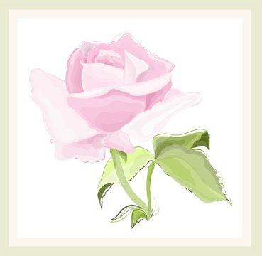 Greeting card with rose.
