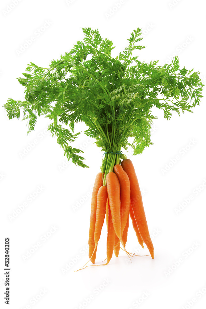 Wall mural fresh carrot fruits with green leaves