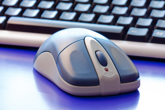 computer mouse