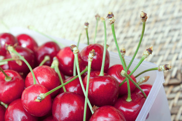BARQUETTE DE CERISES