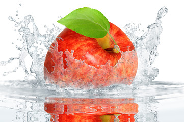 Obst 366