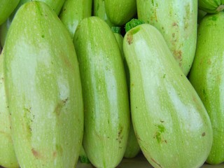 White zucchini, calabacín blanco.