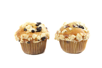 Delicious Chocolate Chip Muffin Fresh from the Bakery
