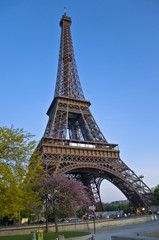 Eiffel Tower at afternoont. A symbol of Paris