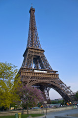 Fototapeta premium Eiffel Tower at afternoont. A symbol of Paris