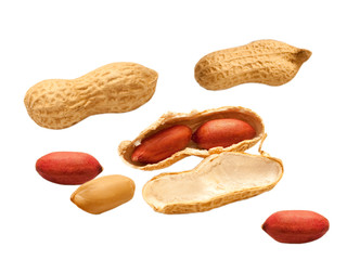 peanuts isolated on white background