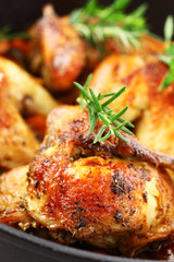 Roasted chicken with vegetable