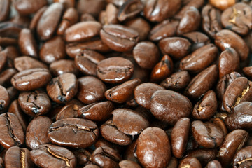 coffee beans with selective focus