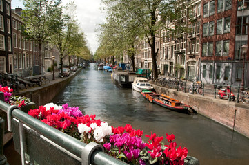 Obraz premium Channel in Ansterdam bridge view, Netherlands