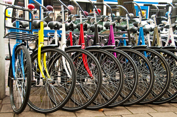 Bikes for rent