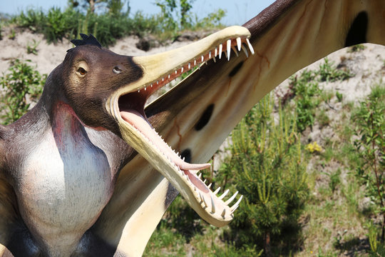 Dinosaur